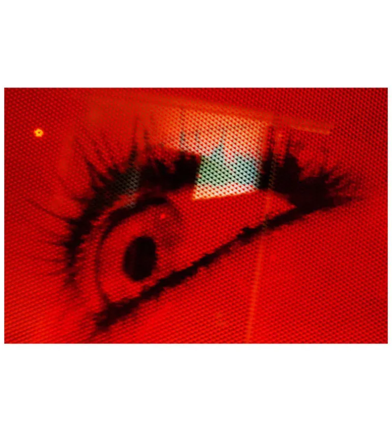 Mika Ninagawa : Into Fiction/Reality
